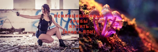 стафф Волоколамск