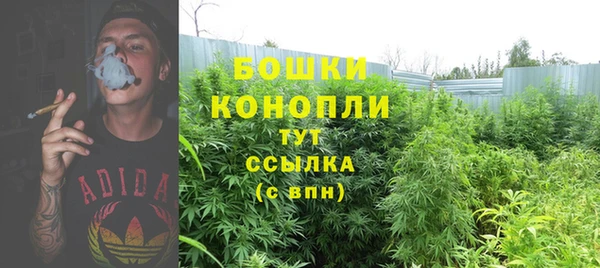 стафф Волоколамск