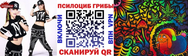 Псилоцибиновые грибы Cubensis  хочу   Нальчик 